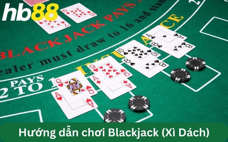 hướng dẫn Blackjack 