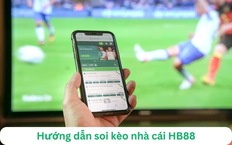 hướng dẫn soi kèo nhà cái